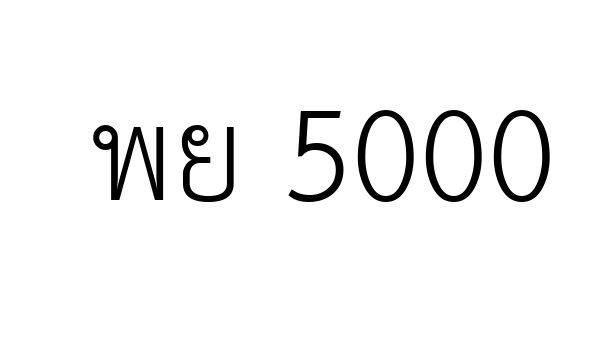 พย 5000